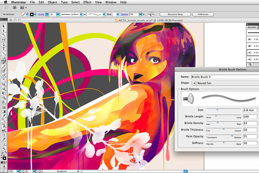 Adobe Illustrator CS5 15 For Windows Retail DVD 65061567 B&H